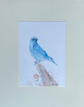 Oiseau bleu – Aquarelle originale