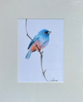 Oiseau bleu – Aquarelle originale