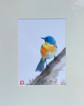 Oiseau bleu et or – Aquarelle originale